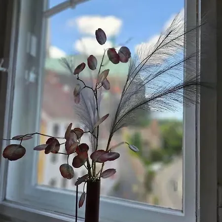 83 Qm Altstadtperle Mit Herrlichem Neisseblick *