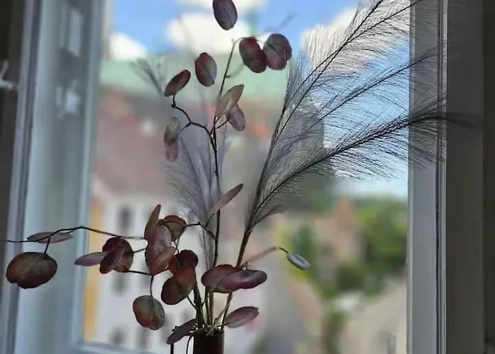 83 Qm Altstadtperle Mit Herrlichem Neisseblick *