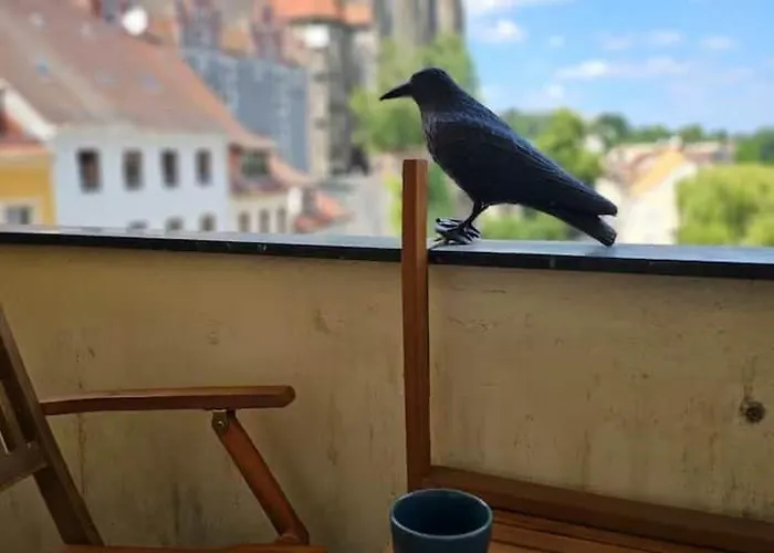 83 Qm Altstadtperle Mit Herrlichem Neisseblick Apartman